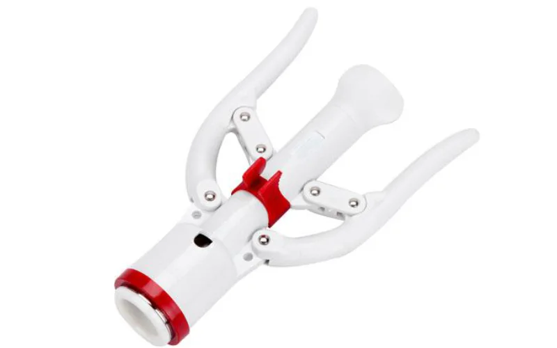 φίμωη-περιτομή