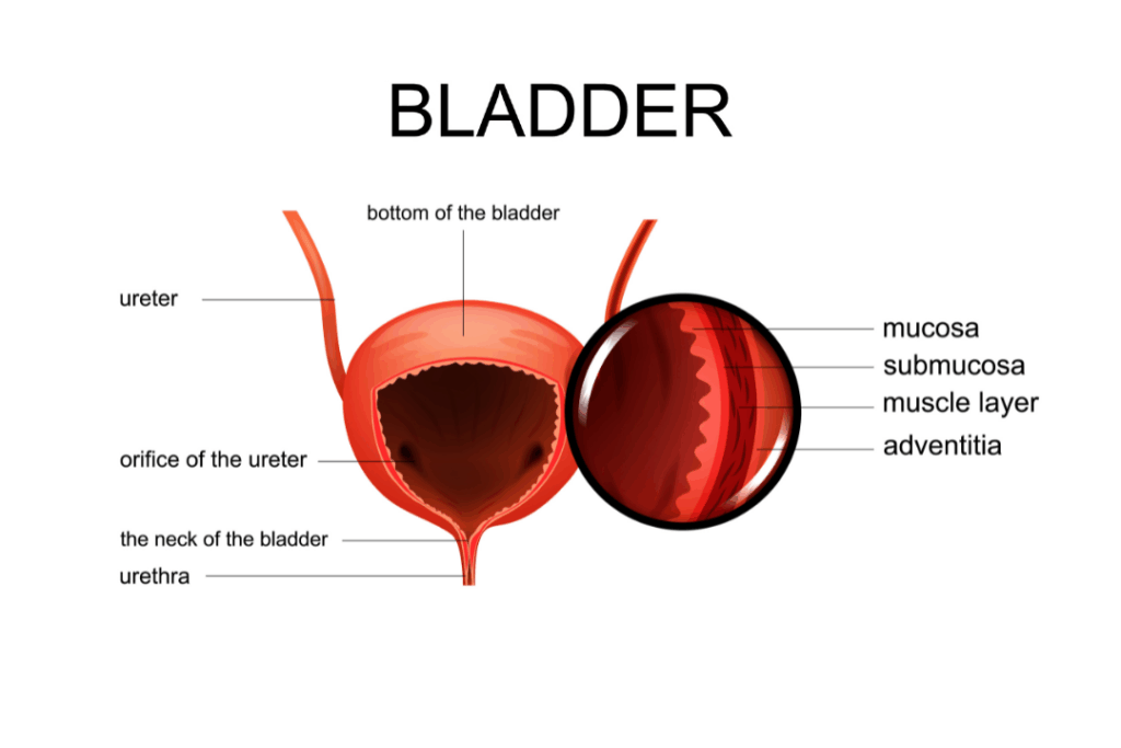 Κυστεοσκόπηση